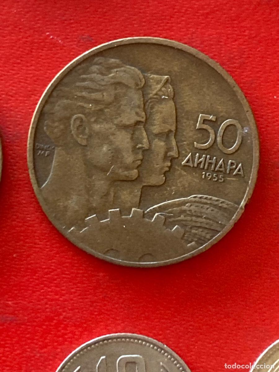Monedas antiguas de Europa: M&uuml;nze M&uuml;nzen Umlaufm&uuml;nze Jugoslawien 50 Dinar 1955