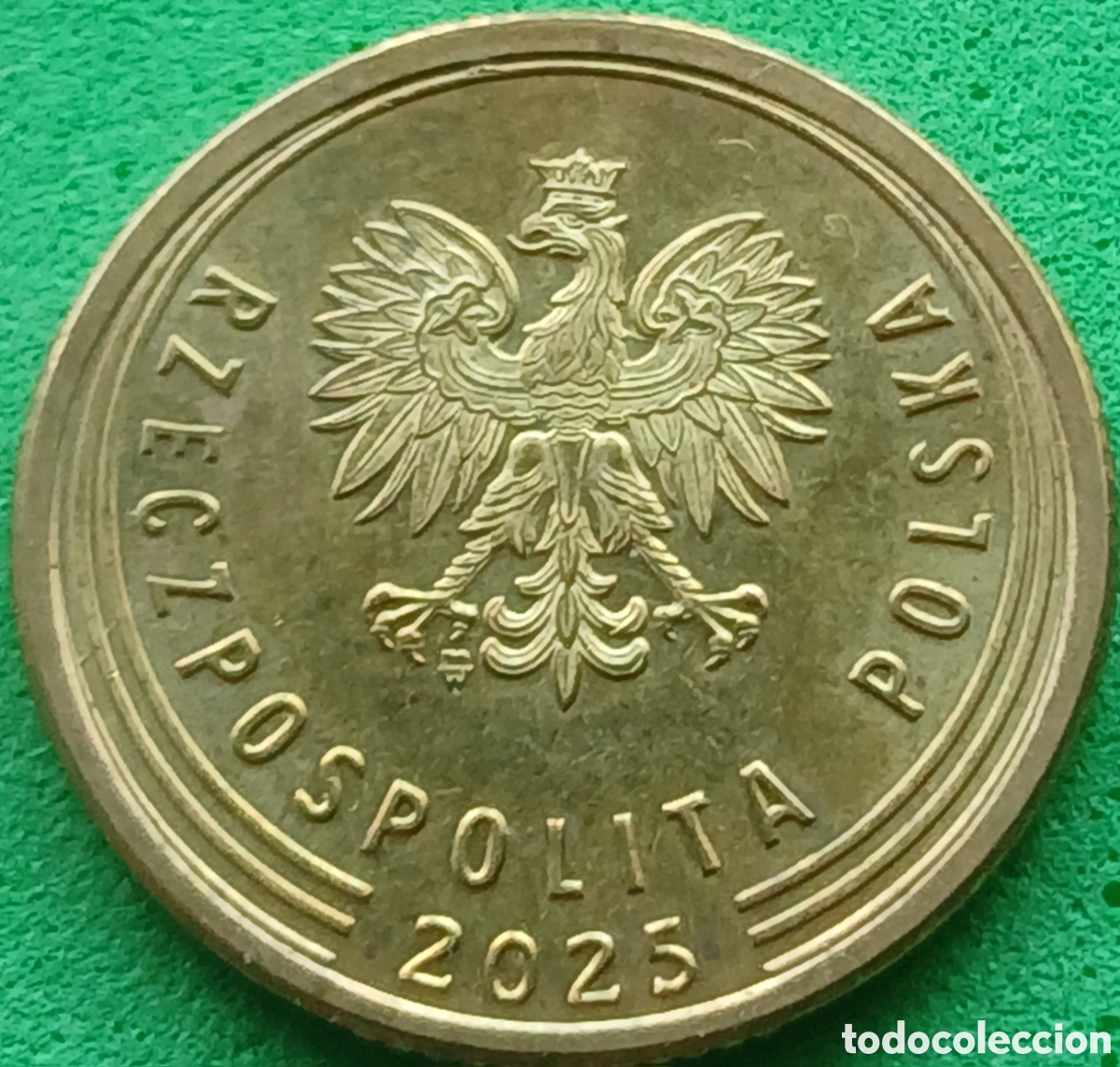 Monedas antiguas de Europa: Polonia 5 groszy 2025 UC#6 poco com&uacute;n