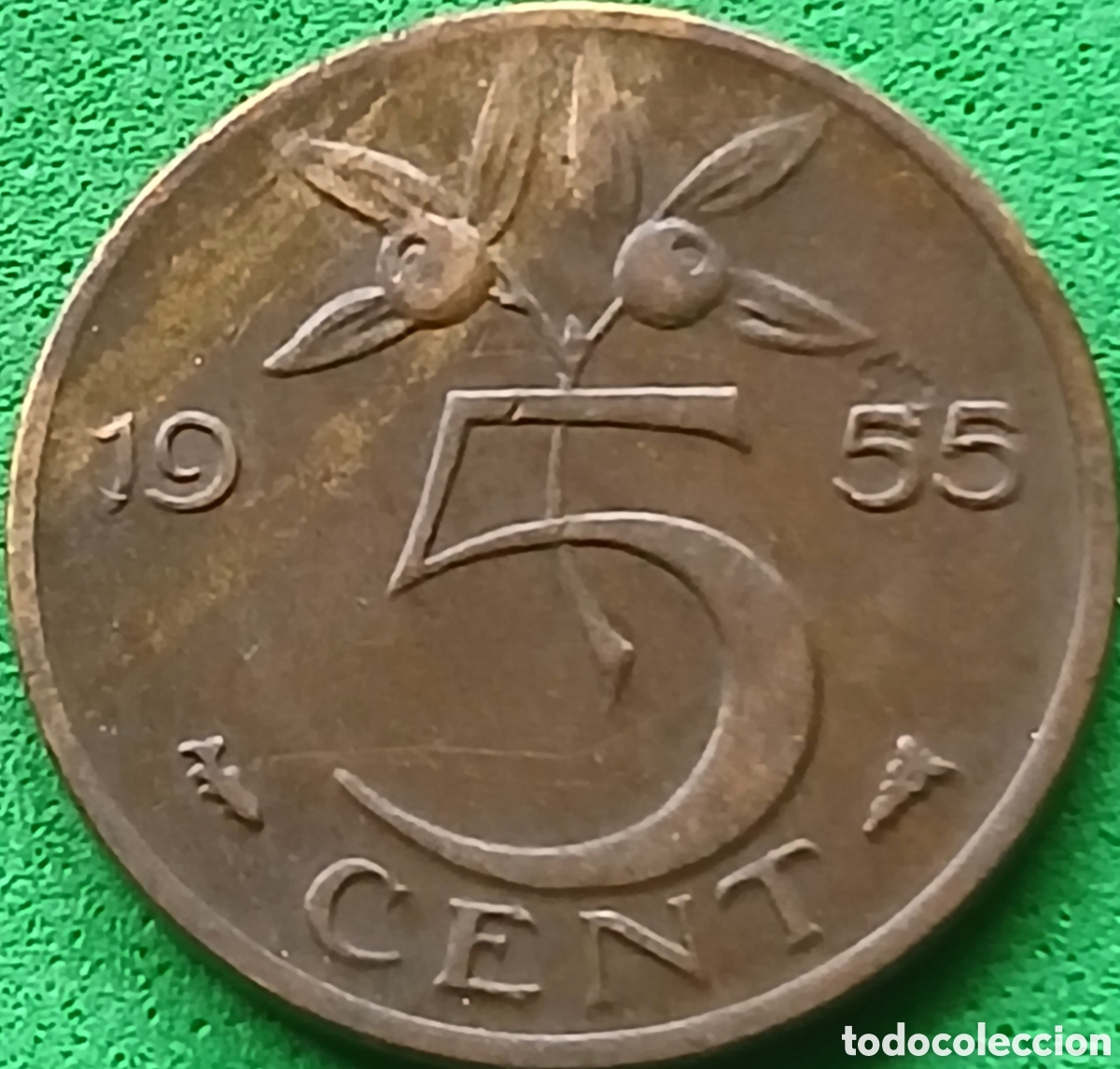 Monedas antiguas de Europa: Pa&iacute;ses Bajos 5 cent 1955 km#181