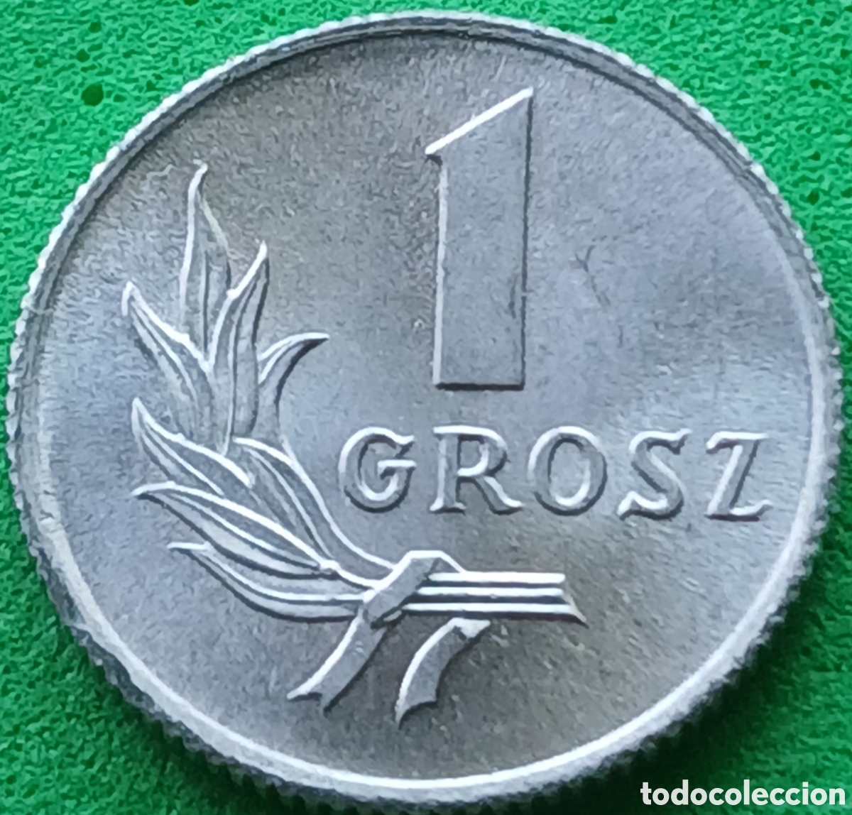 Monedas antiguas de Europa: Polonia 1 grosz 1949 Y#39