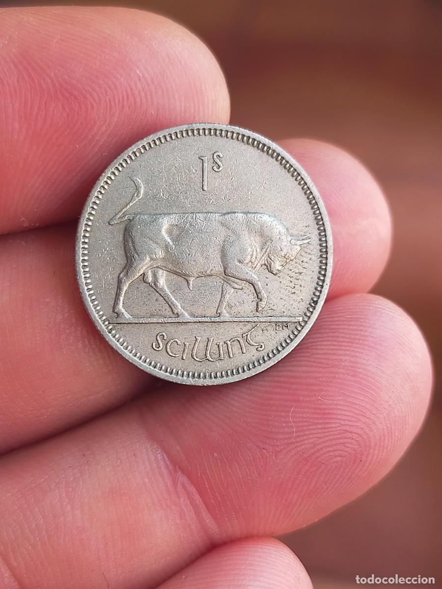 Monedas antiguas de Europa: MONEDA DE 1 UN CHELIN SHILLING IRLANDA EIRE 1964 MUY BUENA CONSERVACION