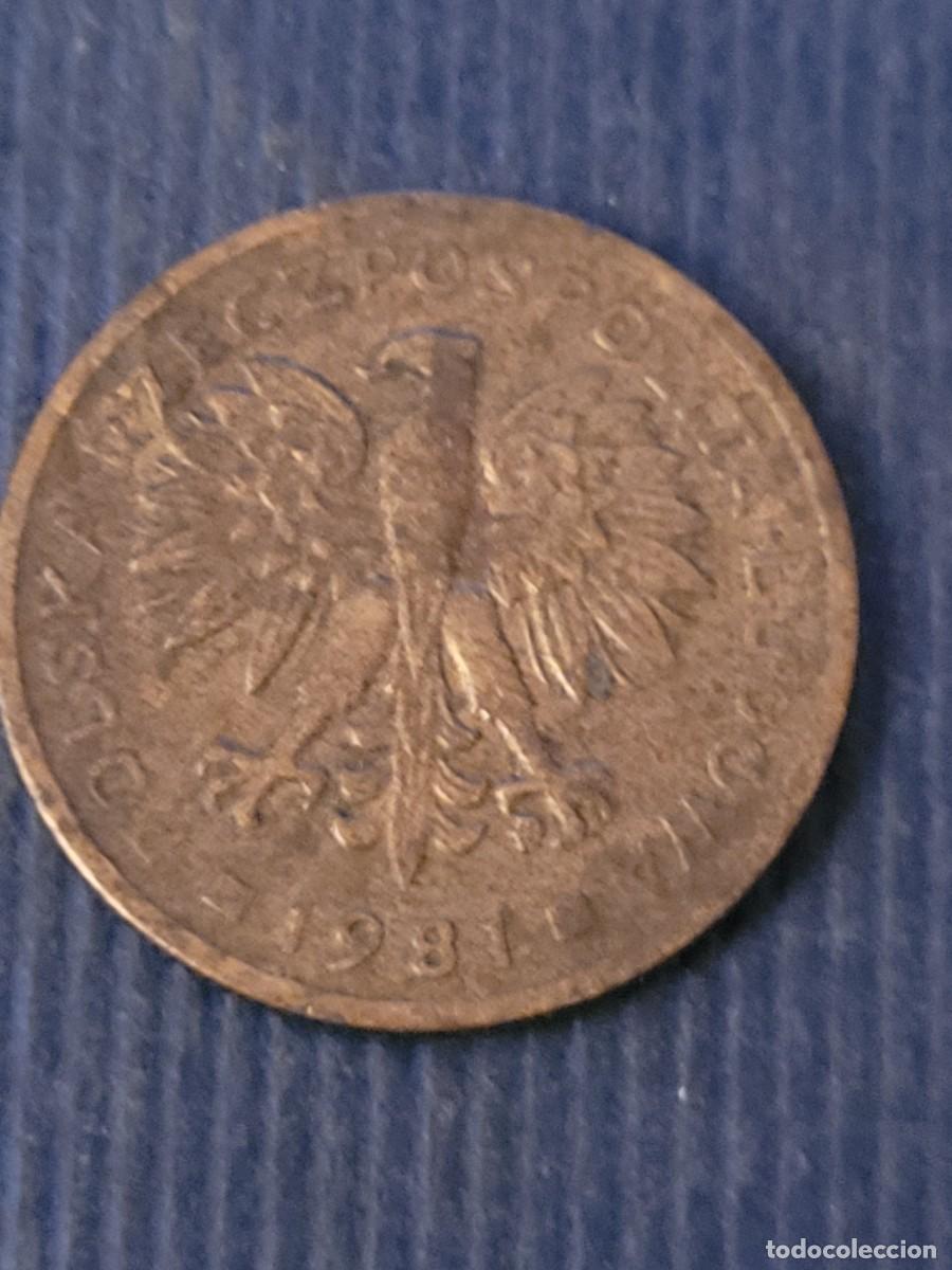 Monedas antiguas de Europa: Moneda 2 zlote 1981 Polonia