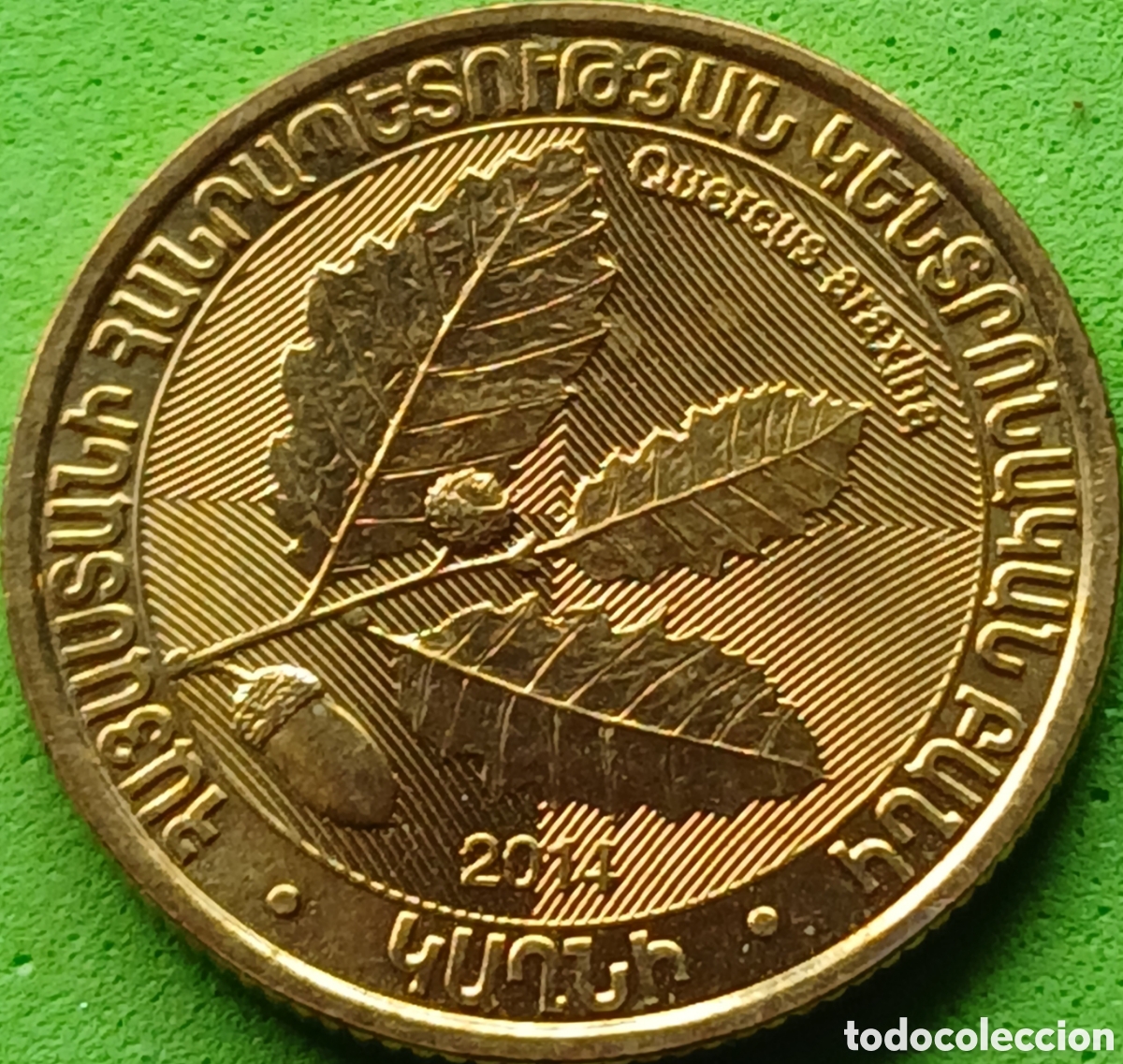 Monedas antiguas de Europa: Armenia 200 dram 2014 km#282 Roble
