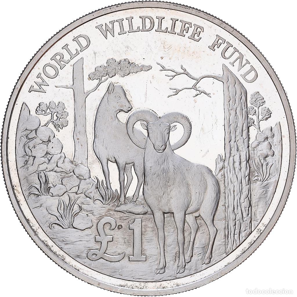 Monedas antiguas de Europa: [#1121762] Chipre, Pound, 1986, Prueba, Plata, SC, KM:59a