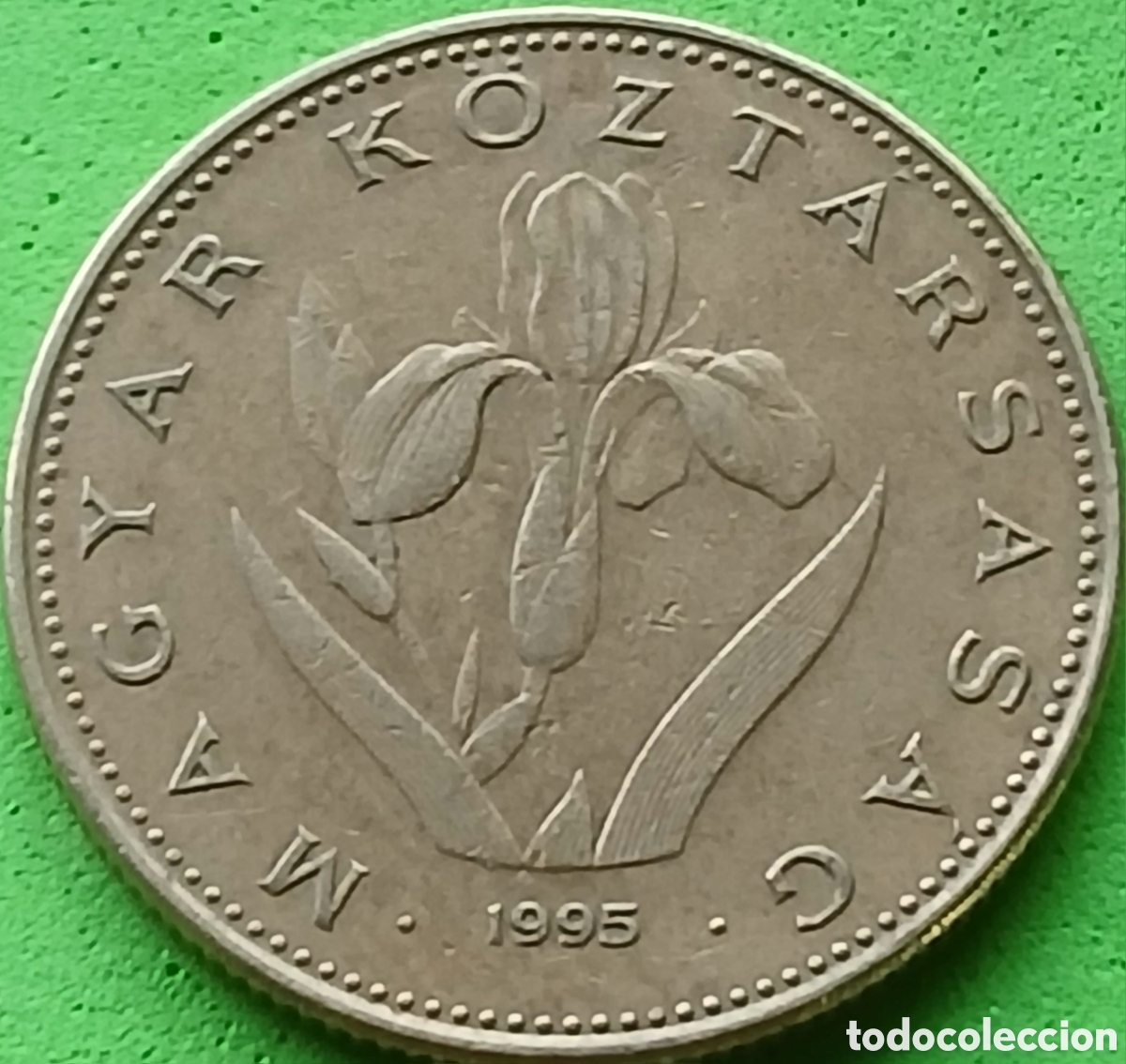 Monedas antiguas de Europa: Hungr&iacute;a 20 fotint 1995 km#696
