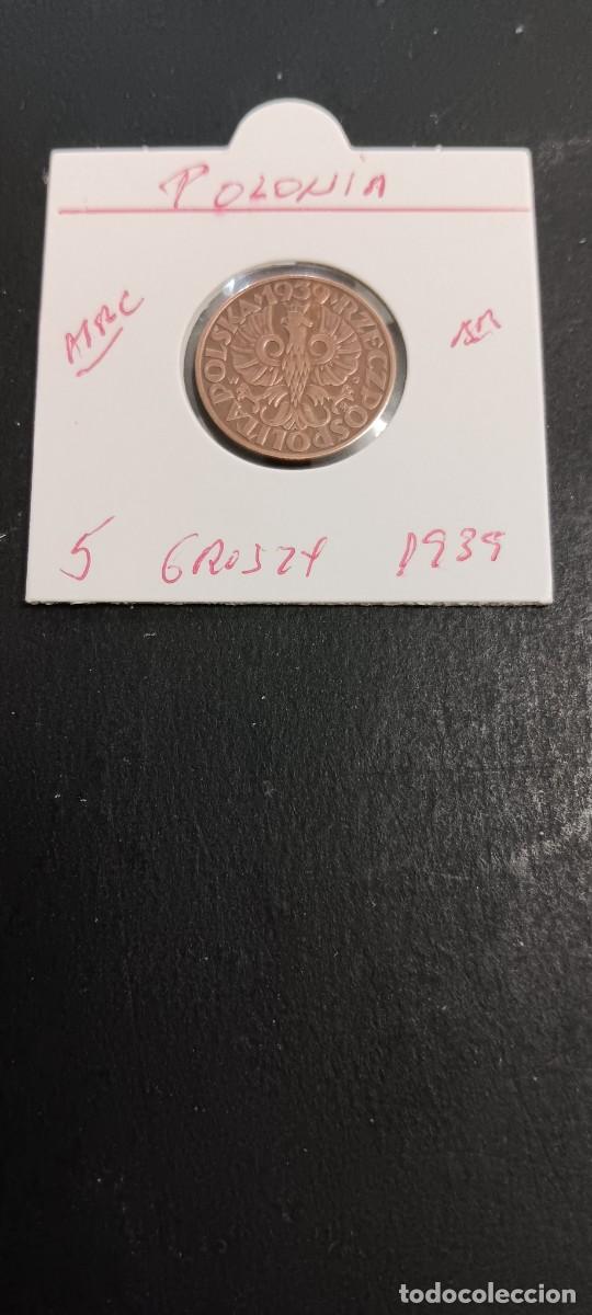 Monedas antiguas de Europa: POLONIA 5 GROSZY 1939 MBC KM=10a (BRONCE)