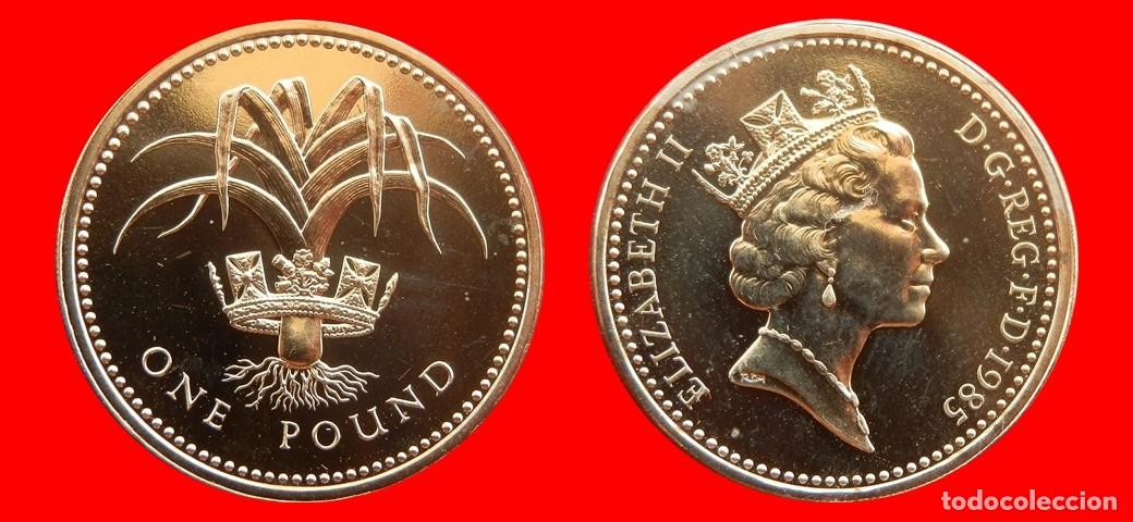 Monedas antiguas de Europa: 1 LIBRA POUND 1985 SIN CIRCULAR PROCEDENTE DE BLISTER INGLATERRA REINO UNIDO-9558SC