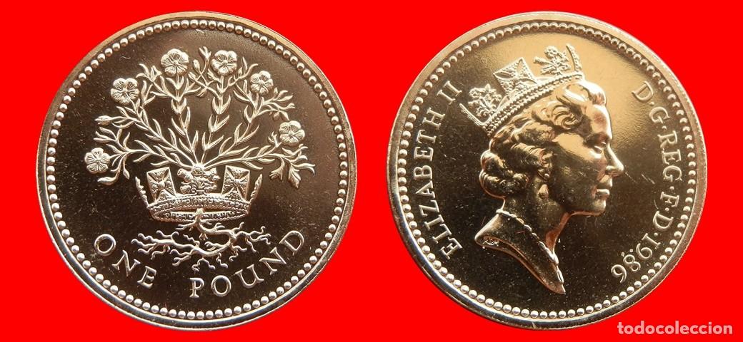 Monedas antiguas de Europa: 1 LIBRA POUND 1986 SIN CIRCULAR PROCEDENTE DE BLISTER INGLATERRA REINO UNIDO-9559SC