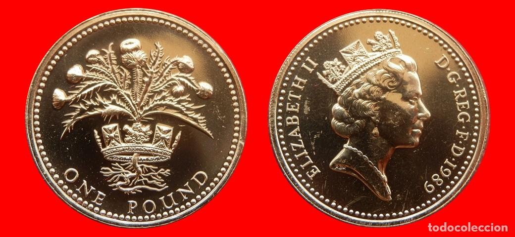 Monedas antiguas de Europa: 1 LIBRA POUND 1989 SIN CIRCULAR PROCEDENTE DE BLISTER INGLATERRA REINO UNIDO-9566SC