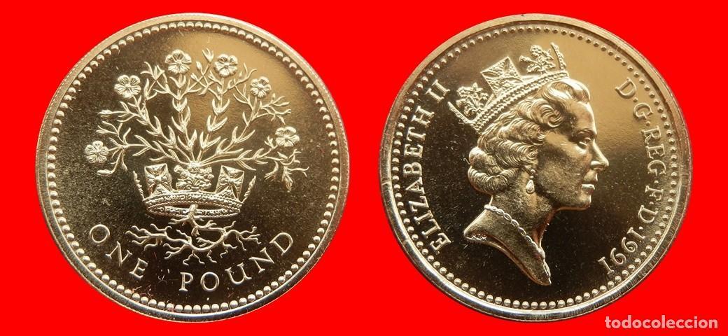 Monedas antiguas de Europa: 1 LIBRA POUND 1991 SIN CIRCULAR PROCEDENTE DE BLISTER INGLATERRA REINO UNIDO-9568SC