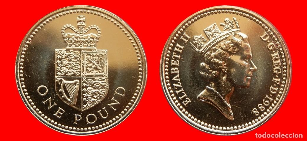 Monedas antiguas de Europa: 1 LIBRA POUND 1988 SIN CIRCULAR PROCEDENTE DE BLISTER INGLATERRA REINO UNIDO-9565SC