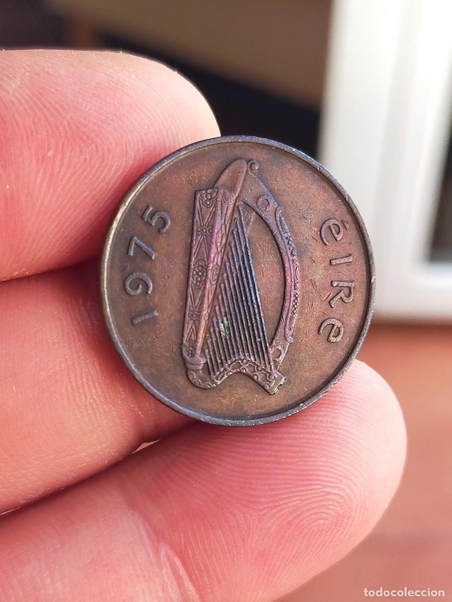 Monedas antiguas de Europa: MONEDA DE 2 DOS PENCE PENIQUES EIRE IRLANDA 1975 MUY BUENA CONSERVACION