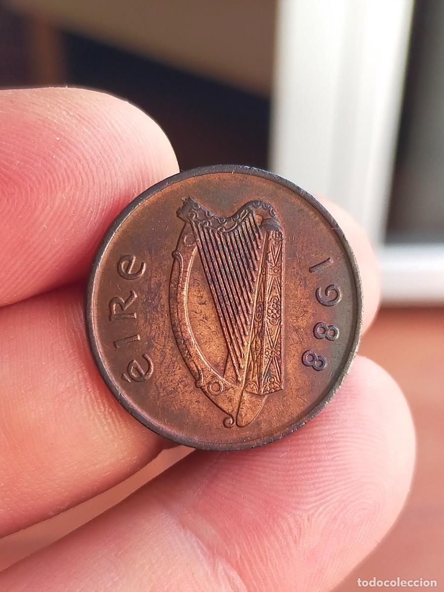 Monedas antiguas de Europa: MONEDA DE 2 DOS PENCE PENIQUES EIRE IRLANDA 1988 MUY BUENA CONSERVACION