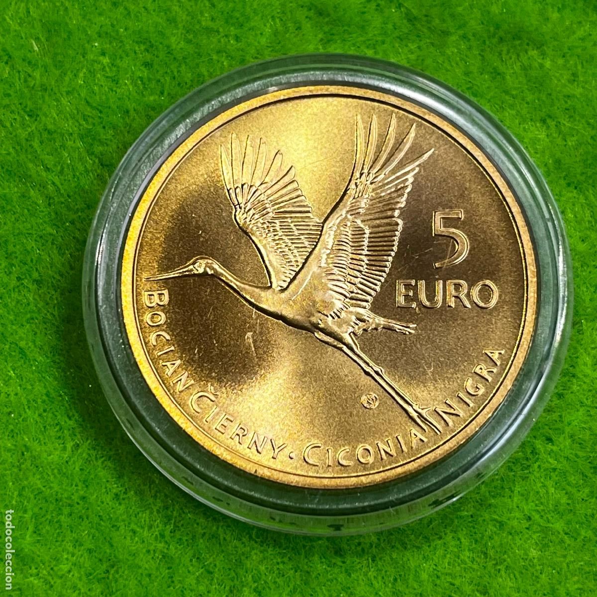 Monedas antiguas de Europa: Eslovaquia 5 euros 2023, cig&uuml;e&ntilde;a negra, 17441