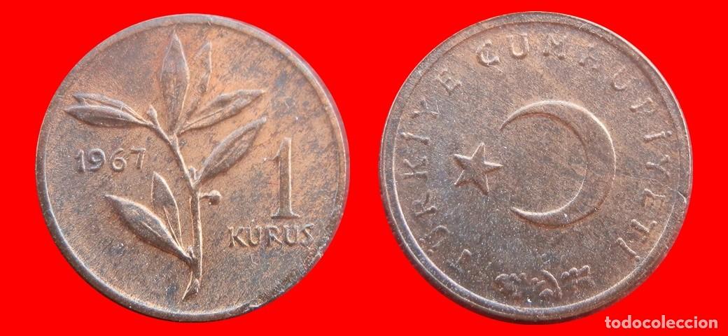 Monedas antiguas de Europa: 1 KURUS 1967 TURQUIA-154222