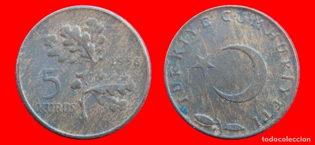 Monedas antiguas de Europa: 5 KURUS 1958 TURQUIA-154224