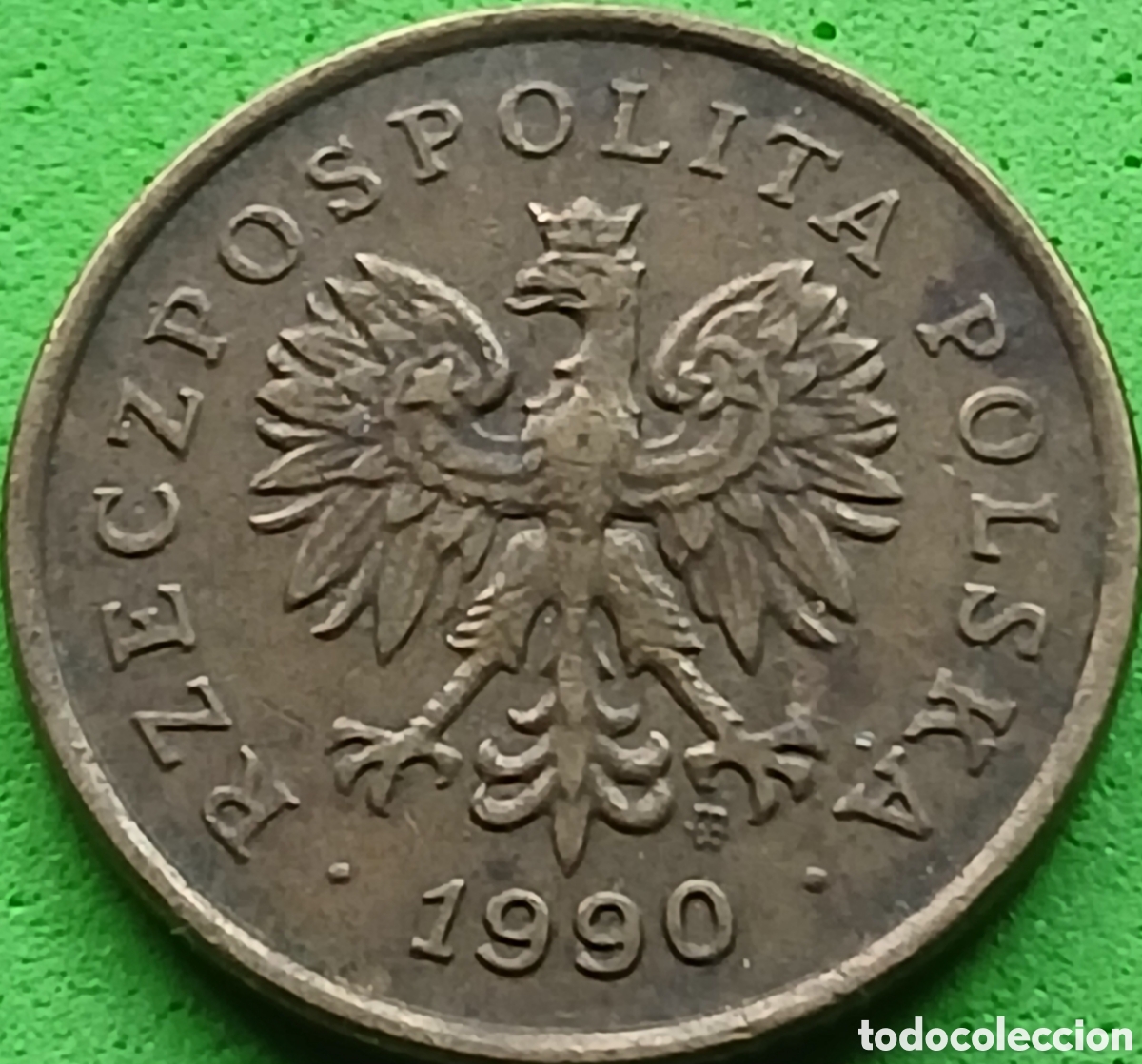 Monedas antiguas de Europa: Polonia 5 groszy 1990 Y#278