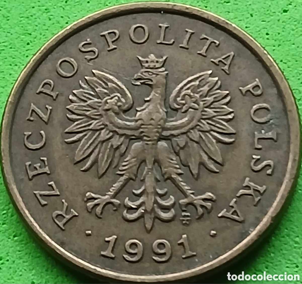 Monedas antiguas de Europa: Polonia 5 groszy 1991 Y#278