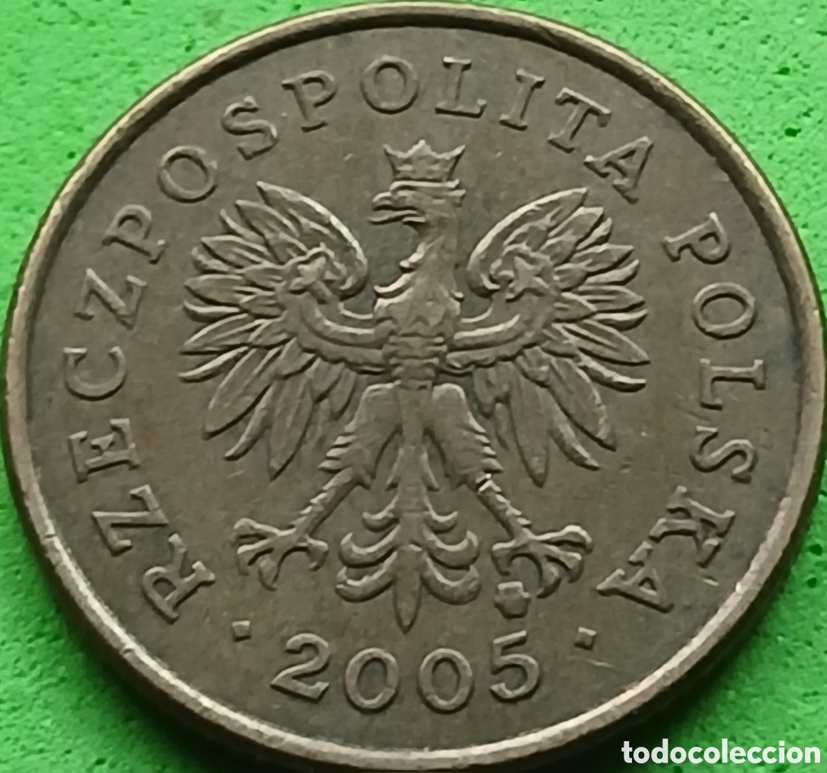 Monedas antiguas de Europa: Polonia 5 groszy 2005 Y#278