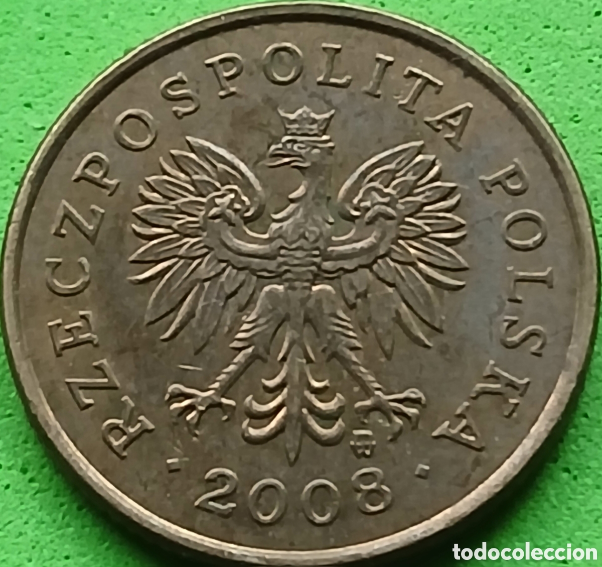 Monedas antiguas de Europa: Polonia 5 groszy 2008 Y#278