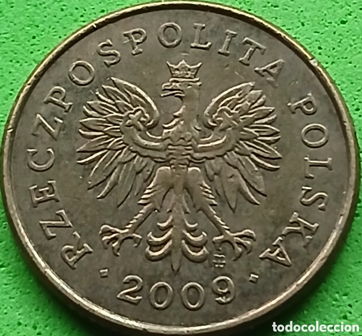 Monedas antiguas de Europa: Polonia 5 groszy 2009 Y#278