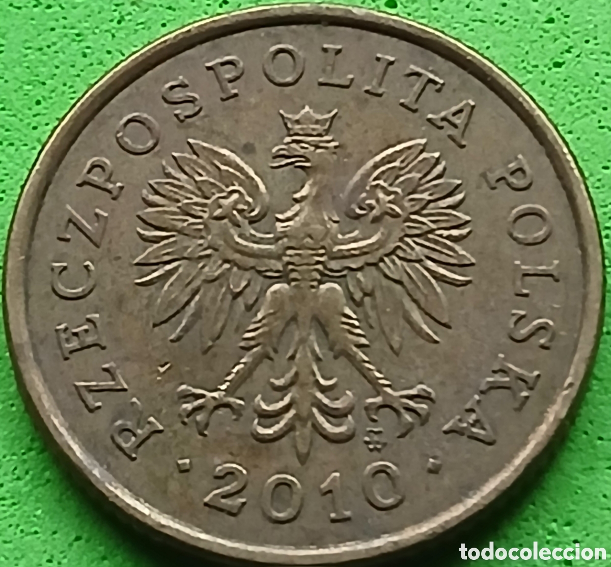 Monedas antiguas de Europa: Polonia 5 groszy 2010 Y#278