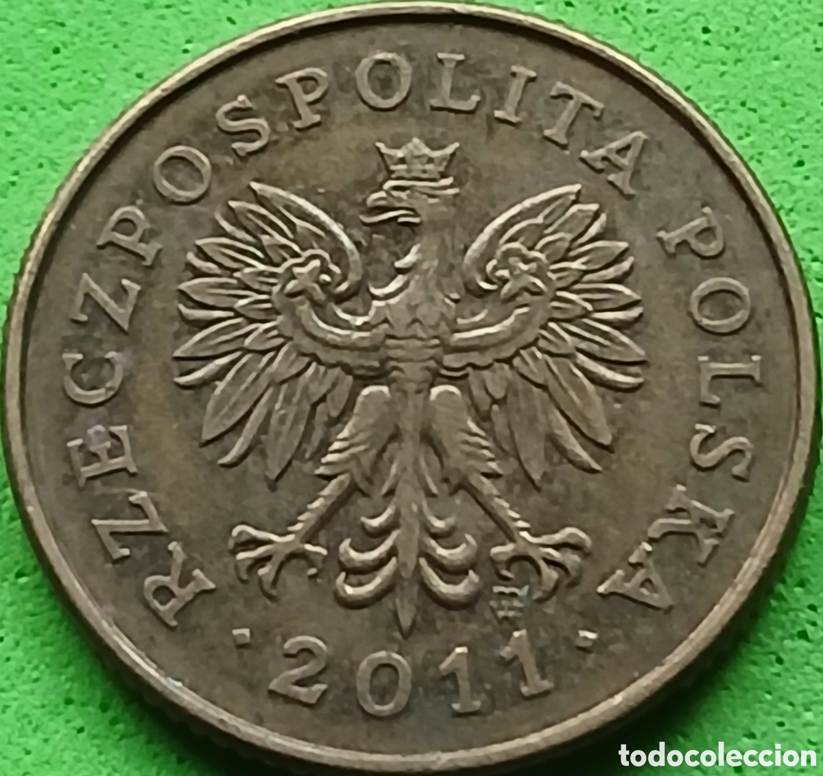 Monedas antiguas de Europa: Polonia 5 groszy 2011 Y#278