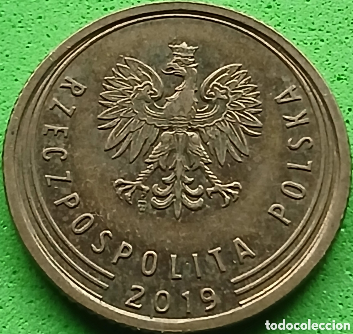 Monedas antiguas de Europa: Polonia 5 groszy 2019 UC#6