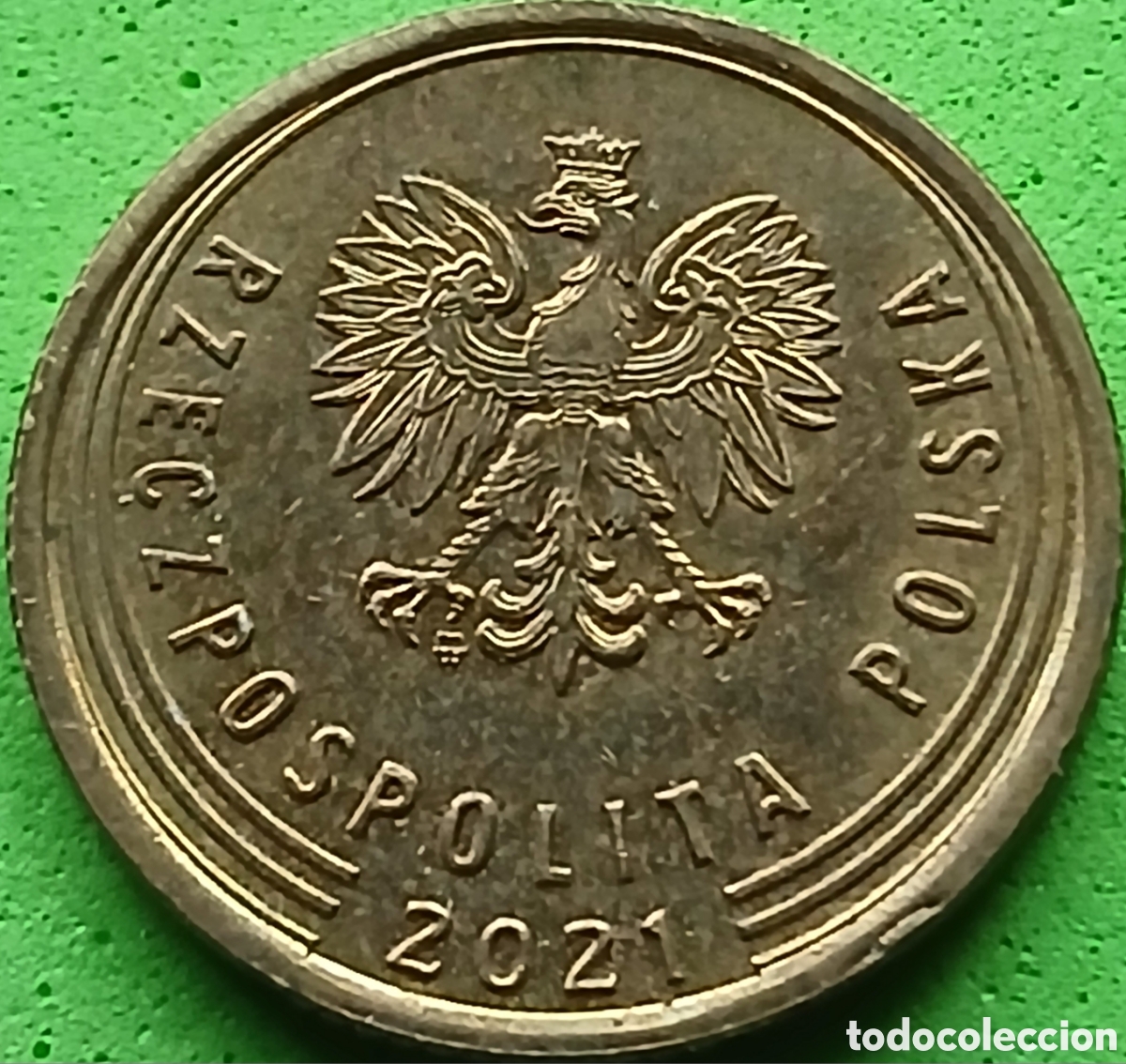 Monedas antiguas de Europa: Polonia 5 groszy 2021 UC#6