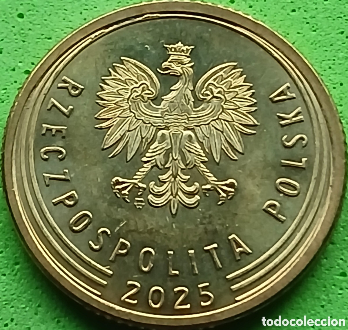 Monedas antiguas de Europa: Polonia 5 groszy 2025 UC#6 poco com&uacute;n