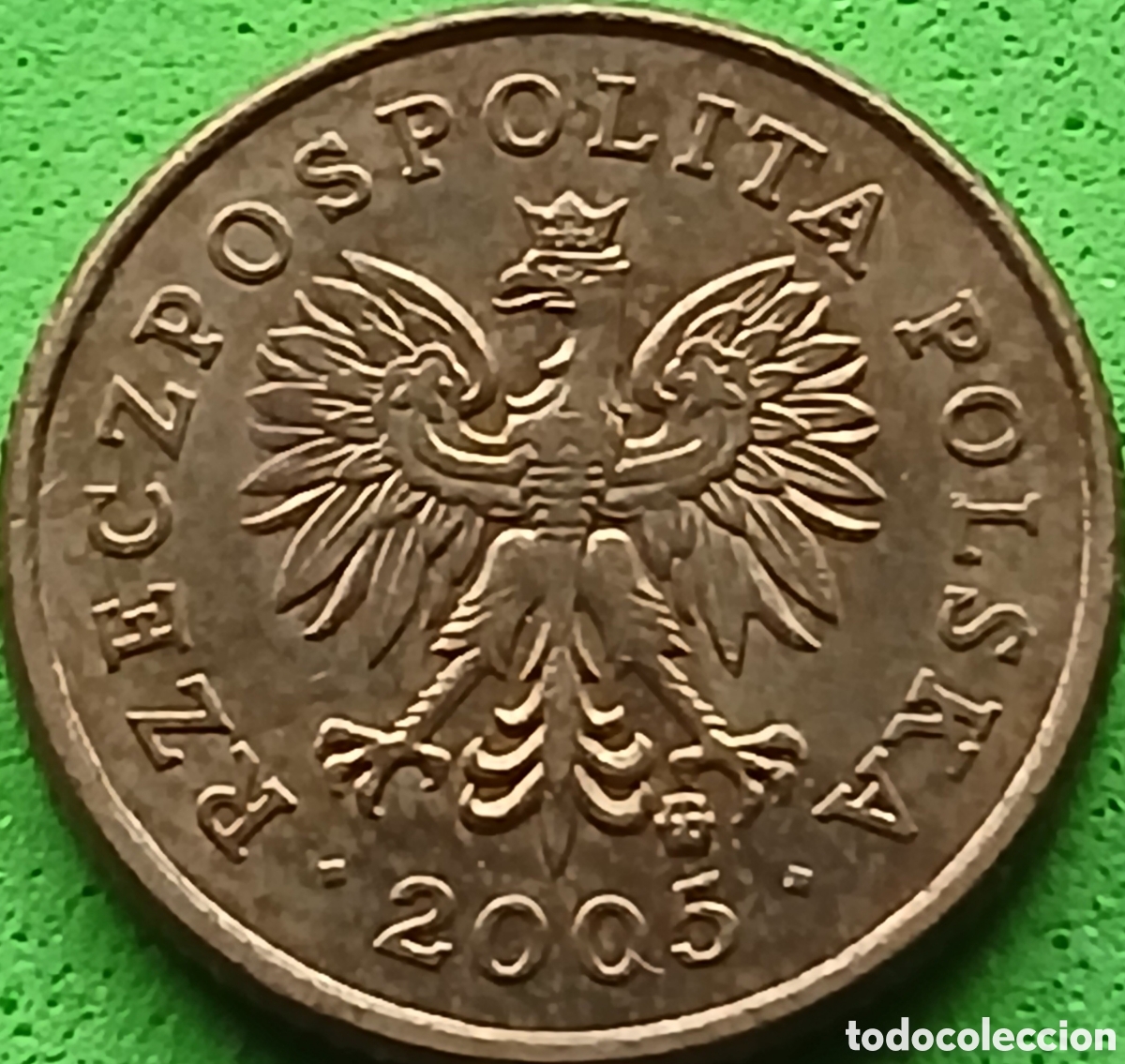 Monete antiche di Europa: Polonia 1 grosz 2005 Y#276