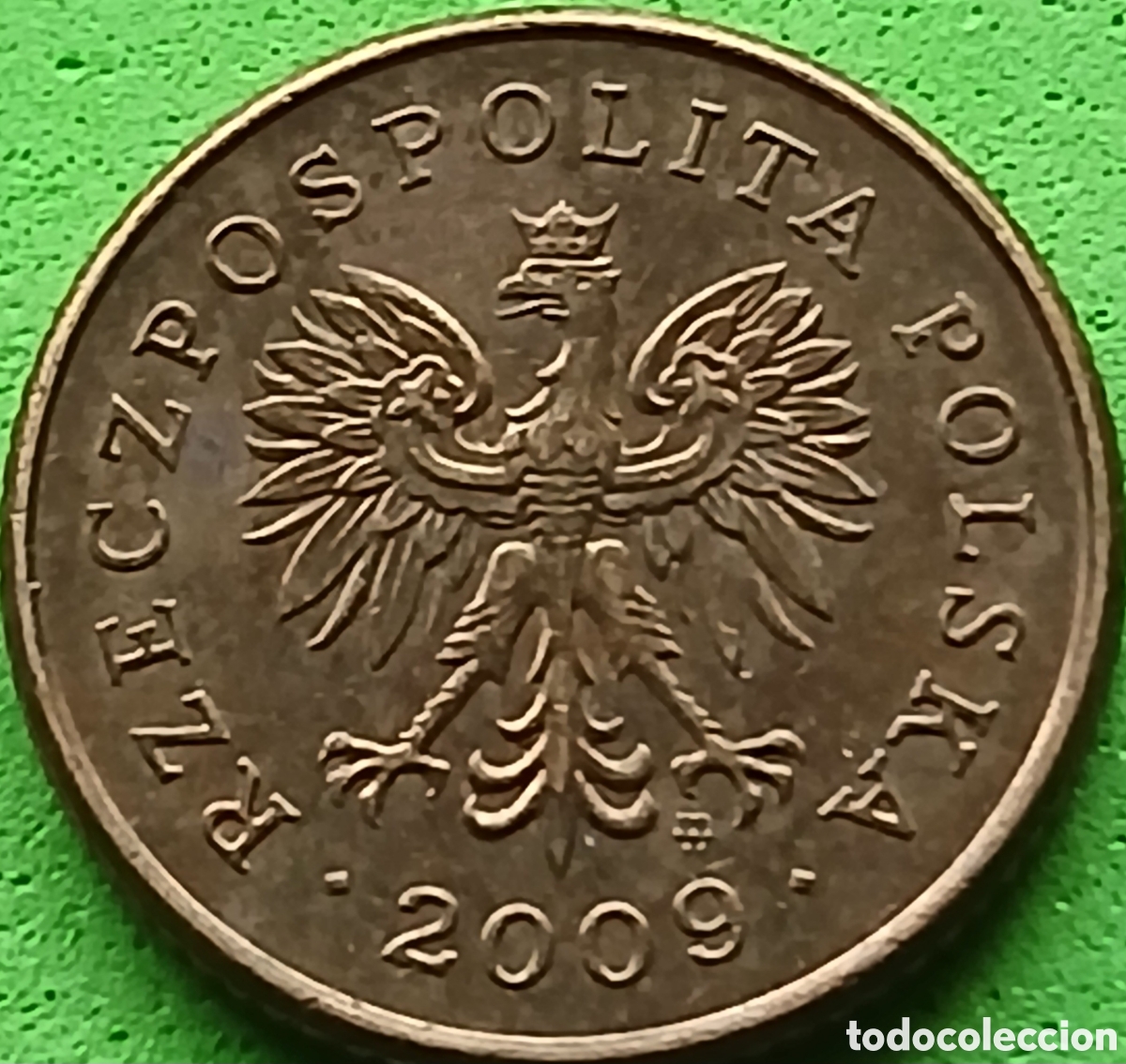 Monete antiche di Europa: Polonia 1 grosz 2009 Y#276