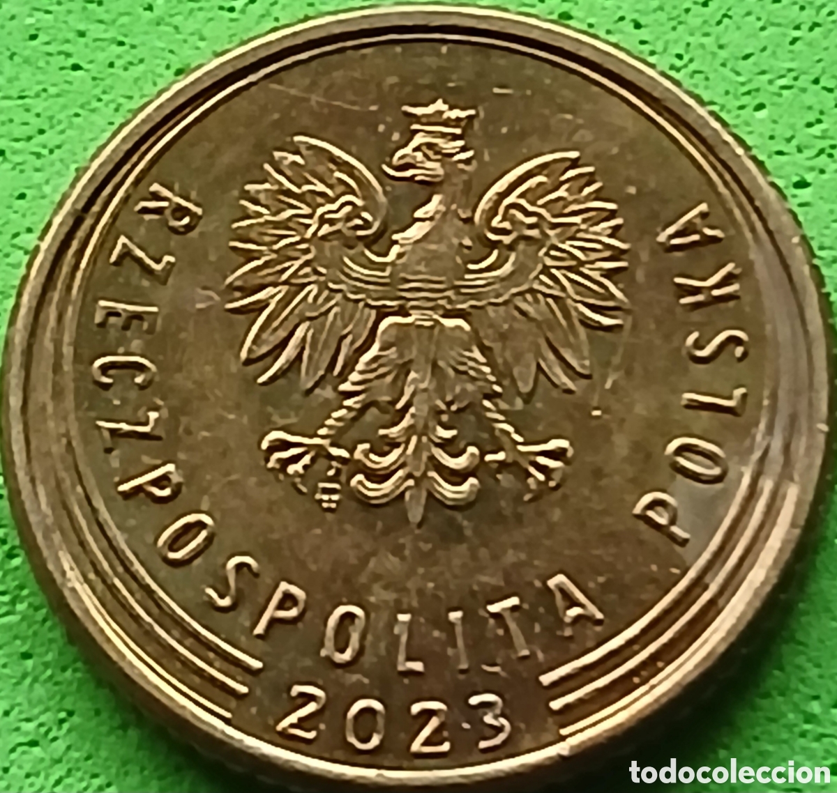 Monete antiche di Europa: Polonia 1 grosz 2023 UC#4
