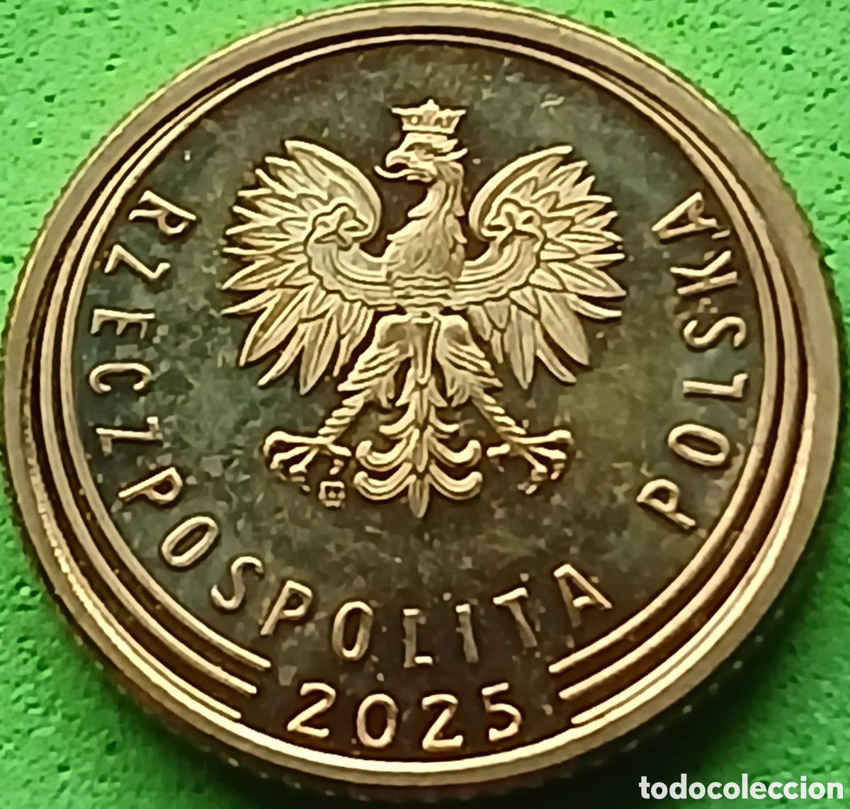Monete antiche di Europa: Polonia 1 grosz 2025 UC#4