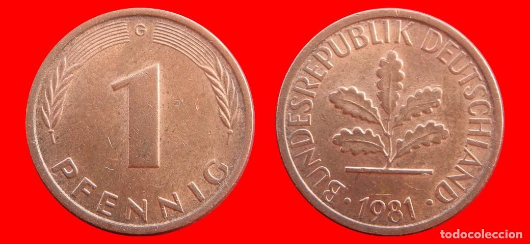 Monedas antiguas de Europa: 1 PFENNIG 1981-G BRD ALEMANIA-154329