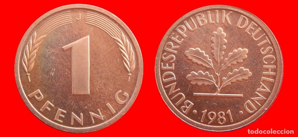 Monedas antiguas de Europa: 1 PFENNIG 1981-J BRD ALEMANIA-154330