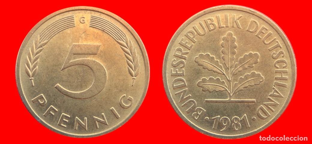 Monedas antiguas de Europa: 5 PFENNIG 1981-G BRD ALEMANIA-154530