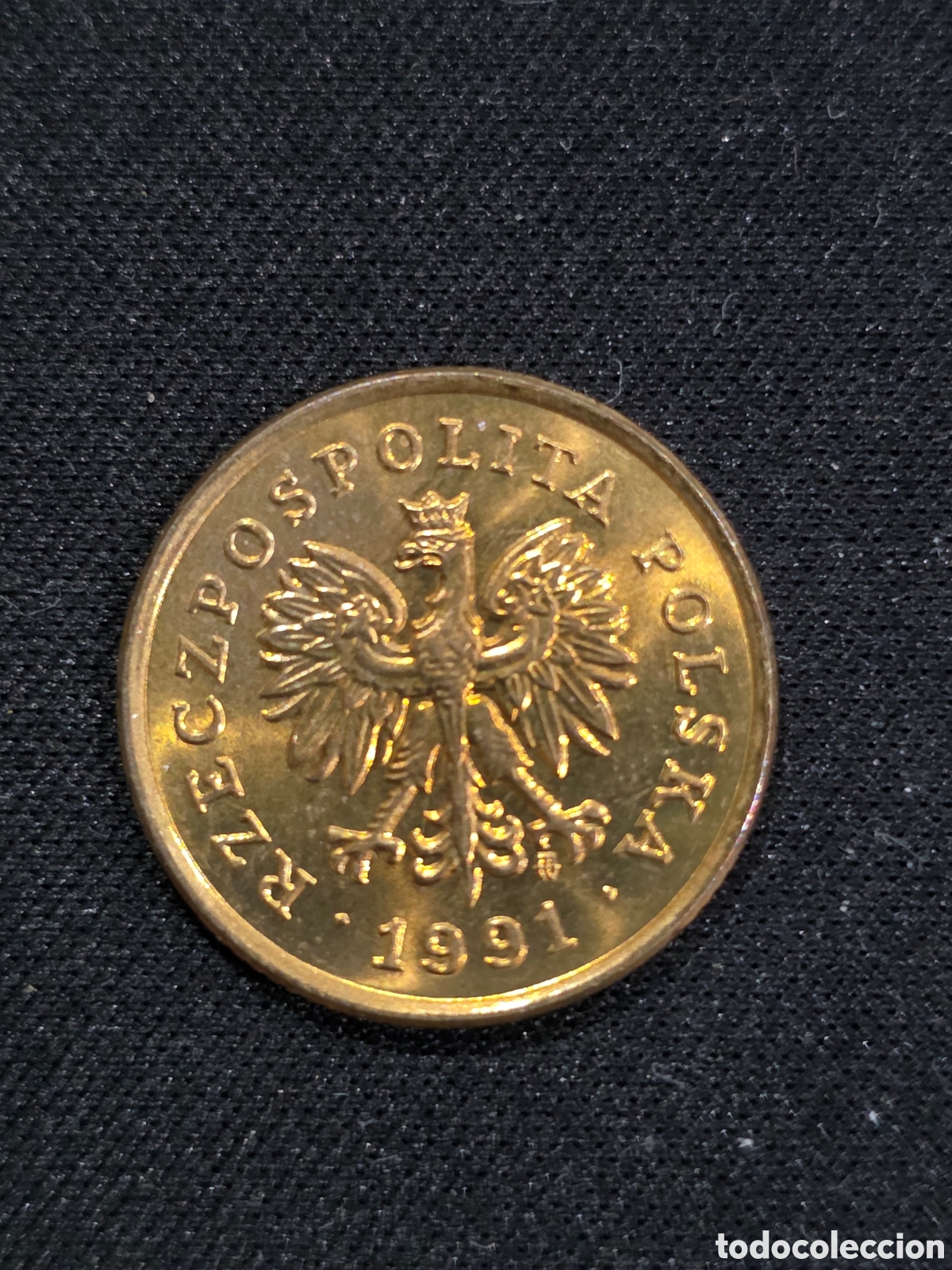 Monedas antiguas de Europa: Polonia 5 groszy 1991 sin circular - PEDIDO M&Iacute;NIMO 5&euro;