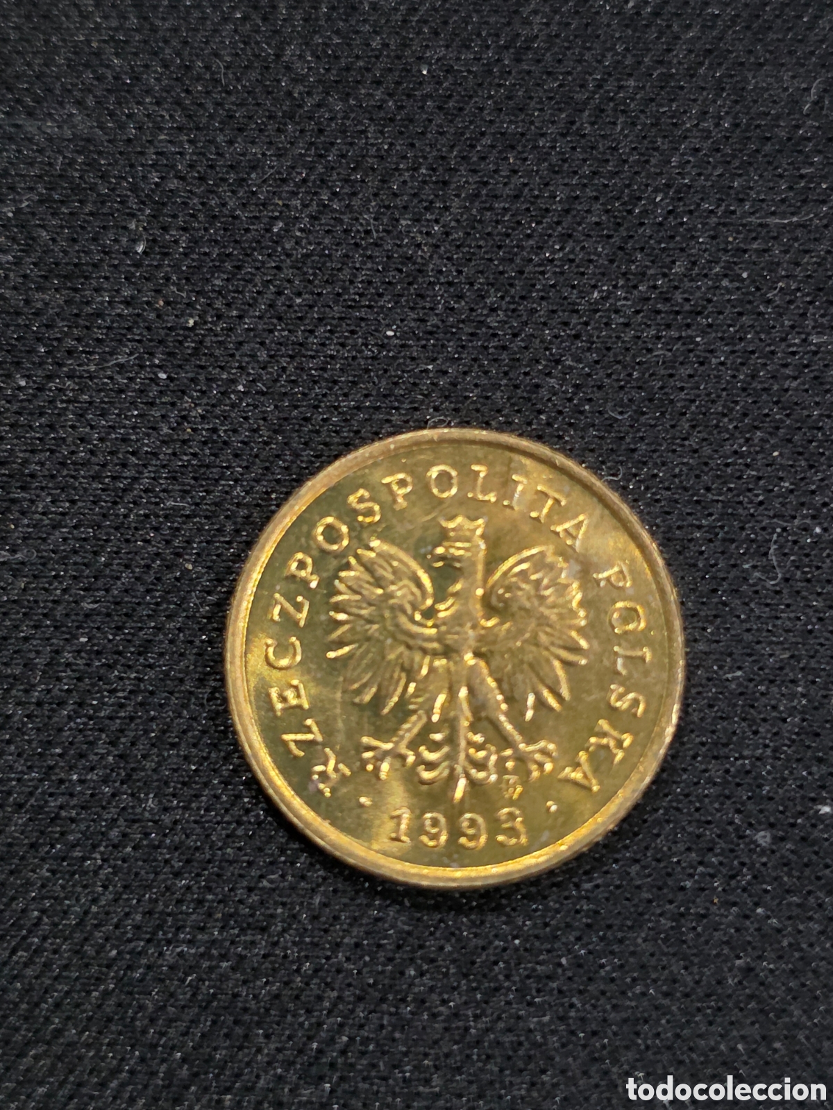 Monedas antiguas de Europa: Polonia 1 grosze 1993 sin circular - PEDIDO M&Iacute;NIMO 5&euro;