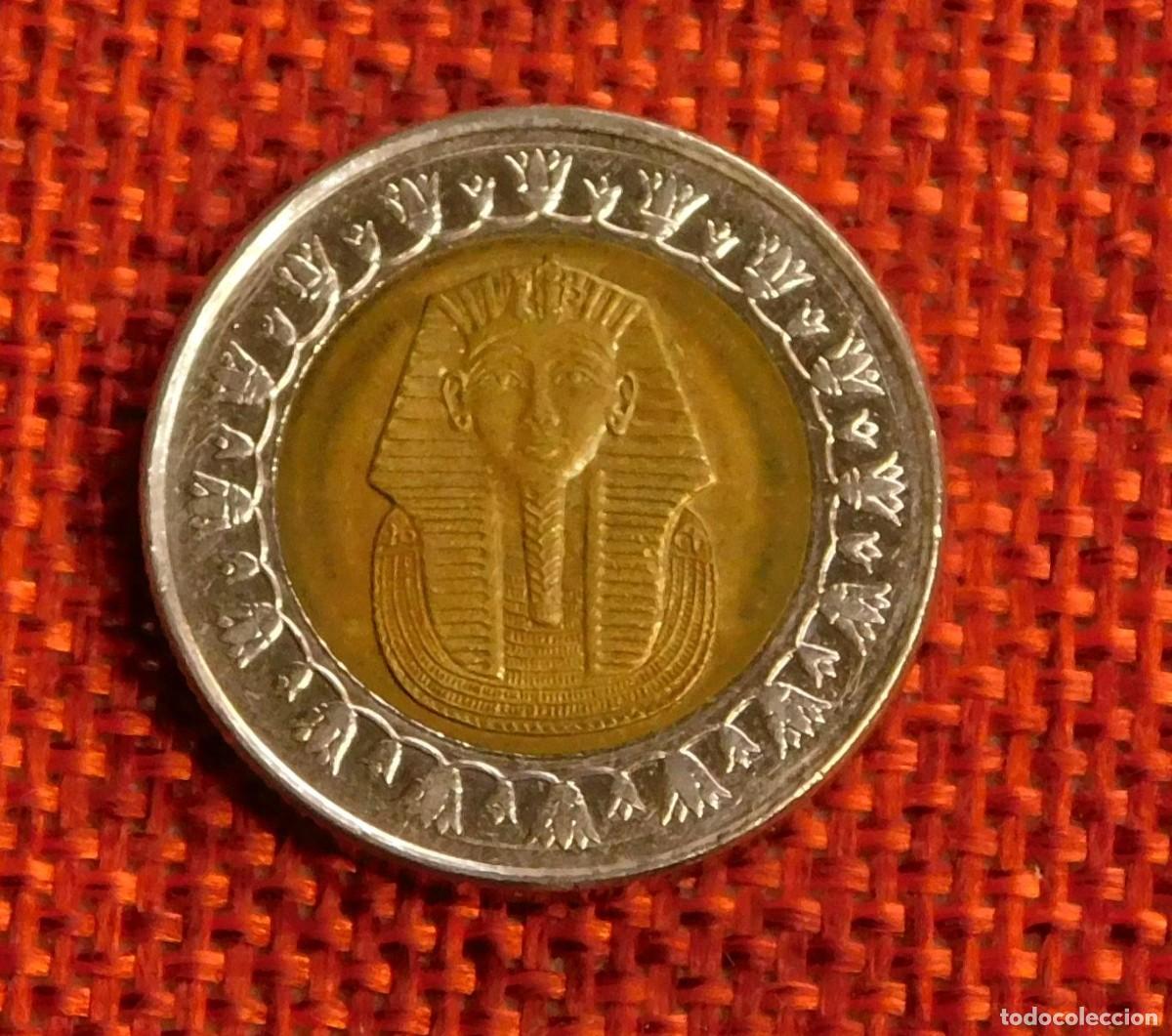 Monedas antiguas de Europa: Egipto - One Pound - 1 libra - 2005 - 2026
