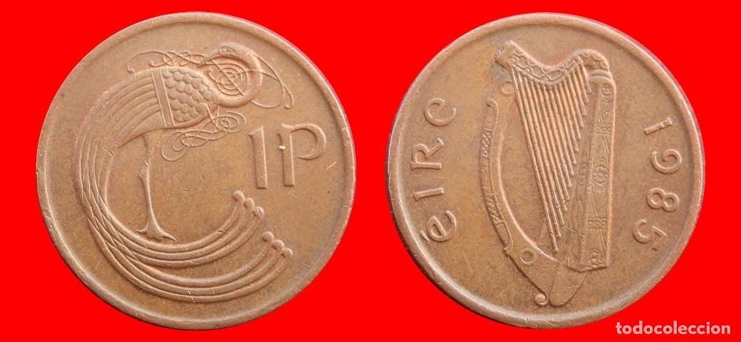 Monedas antiguas de Europa: 1 PENIQUE PENNY 1985 IRLANDA-154855