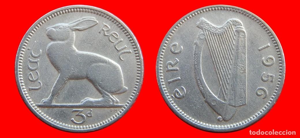 Monedas antiguas de Europa: 3 PENIQUES PENCE 1956 IRLANDA-154858