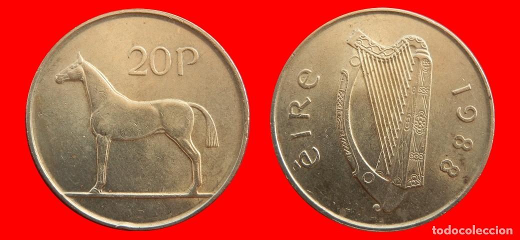 Monedas antiguas de Europa: 20 PENIQUES PENCE 1988 IRLANDA-154865