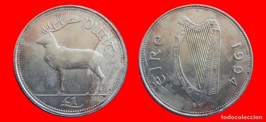 Monedas antiguas de Europa: 1 LIBRA POUND 1994 IRLANDA-154870