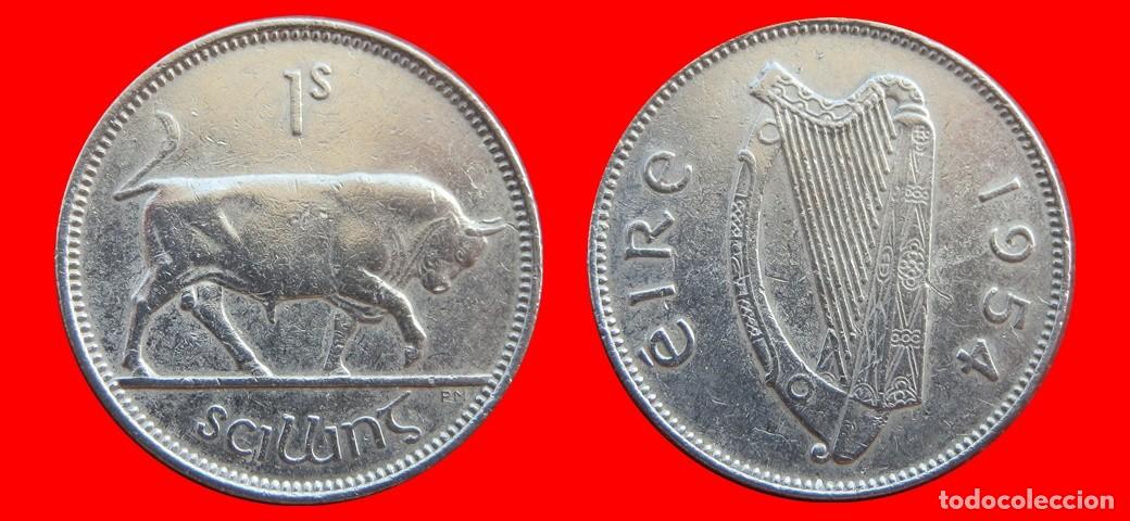 Monedas antiguas de Europa: 1 CHELIN 1954 IRLANDA-154871