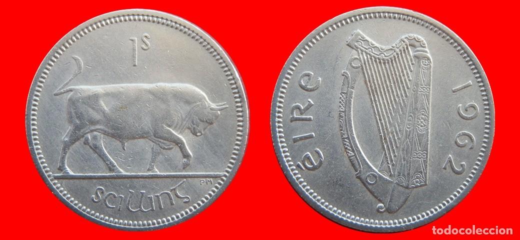 Monedas antiguas de Europa: 1 CHELIN 1962 IRLANDA-154872