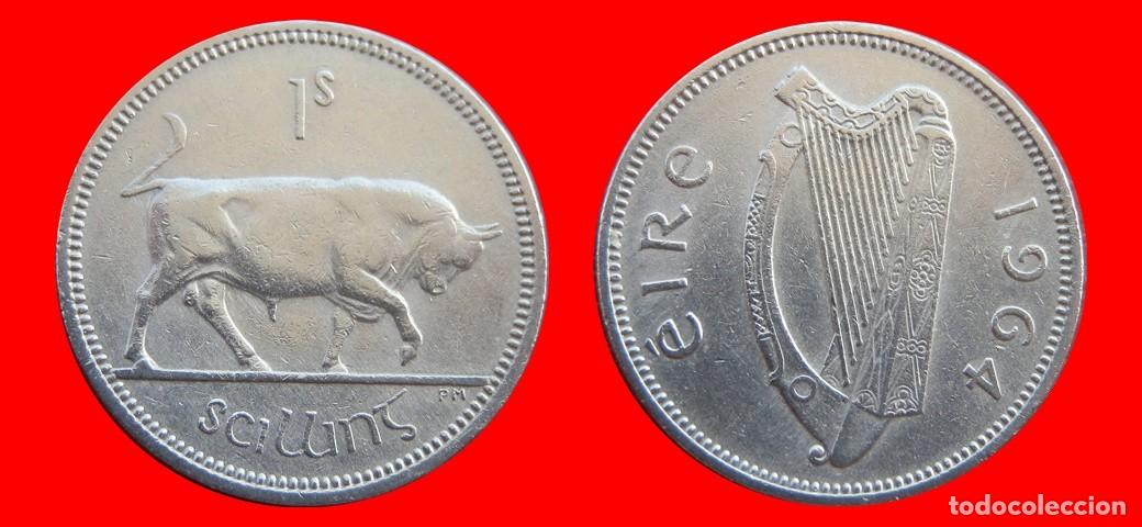 Monedas antiguas de Europa: 1 CHELIN 1964 IRLANDA-154873