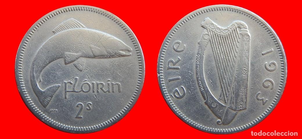 Monedas antiguas de Europa: 1 FLORIN 1963 IRLANDA-154875