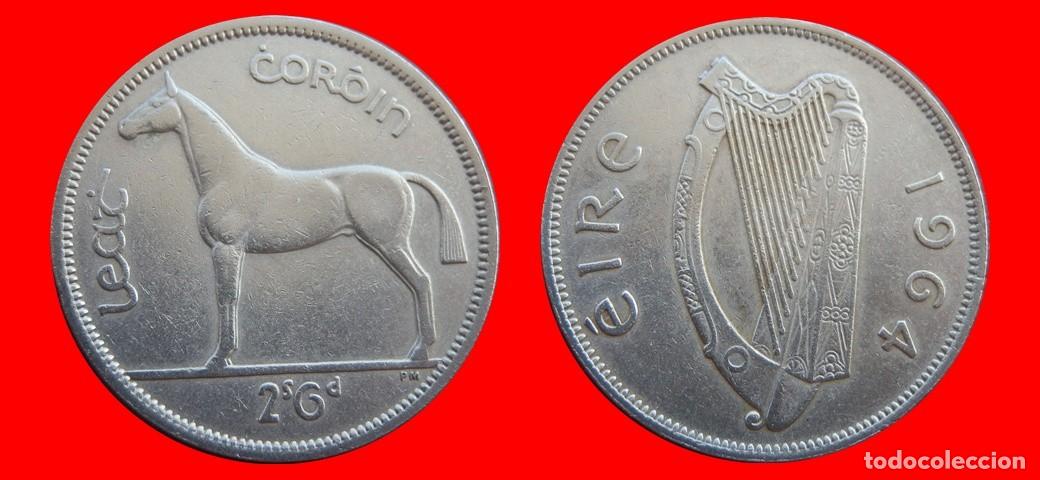 Monedas antiguas de Europa: 1/2 CORONA 1964 IRLANDA-154878