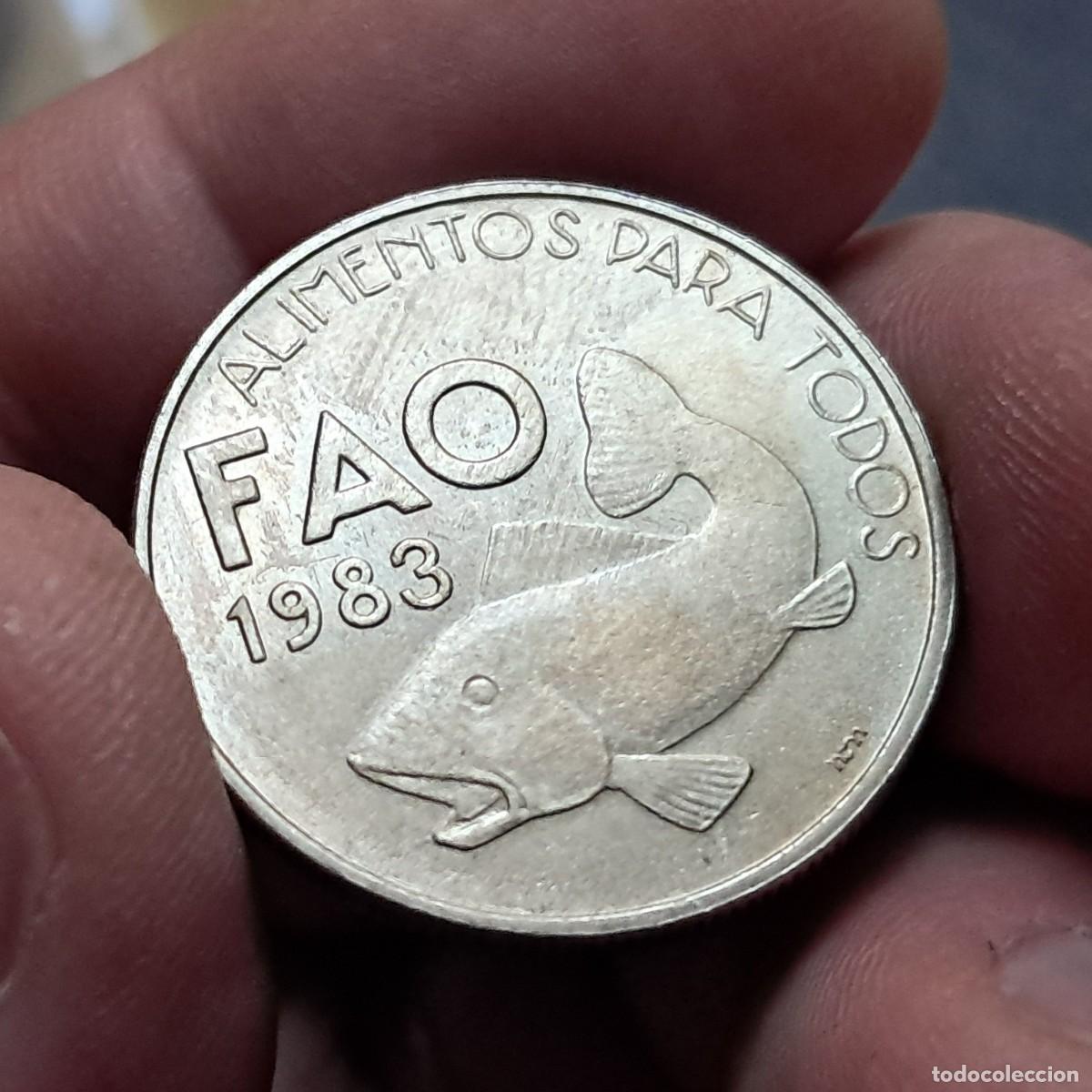 Monedas antiguas de Europa: MONEDA DE PORTUGAL 25 ESCUDOS ND (1983) INCM AU, (FAO) KM# 619, Gomes# R59, N# 9831.